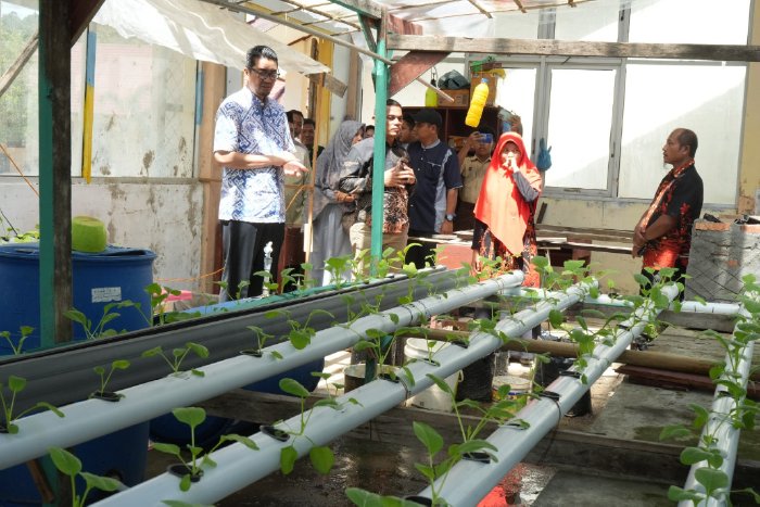 Kadisdik Aceh Sambangi Kebun Hidroponik dan Budidaya Jamur Tiram di SMKN 1 Singkil Utara